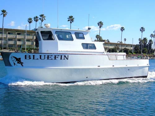 Bluefin
