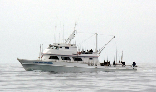 Sigilo Fleet - sfmgmtcom